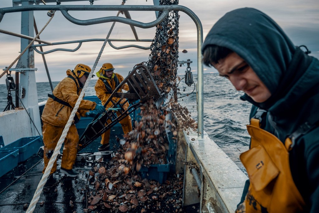Quels sont les secrets de la pêche la coquille Saint-Jacques?