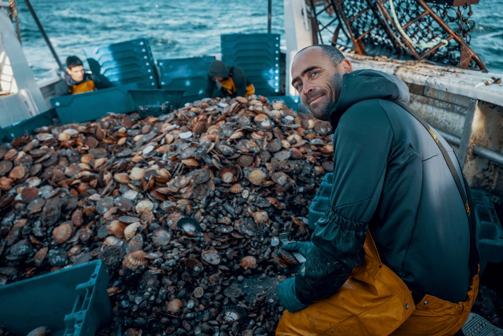 Acheter des Coquilles Saint-Jacques Directement Au Producteur : Pourquoi et Comment ?