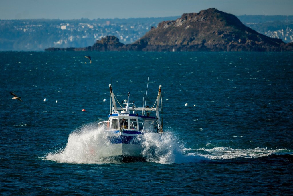 Quand et Comment Pêcher les Coquilles Saint-Jacques en 2024 ?