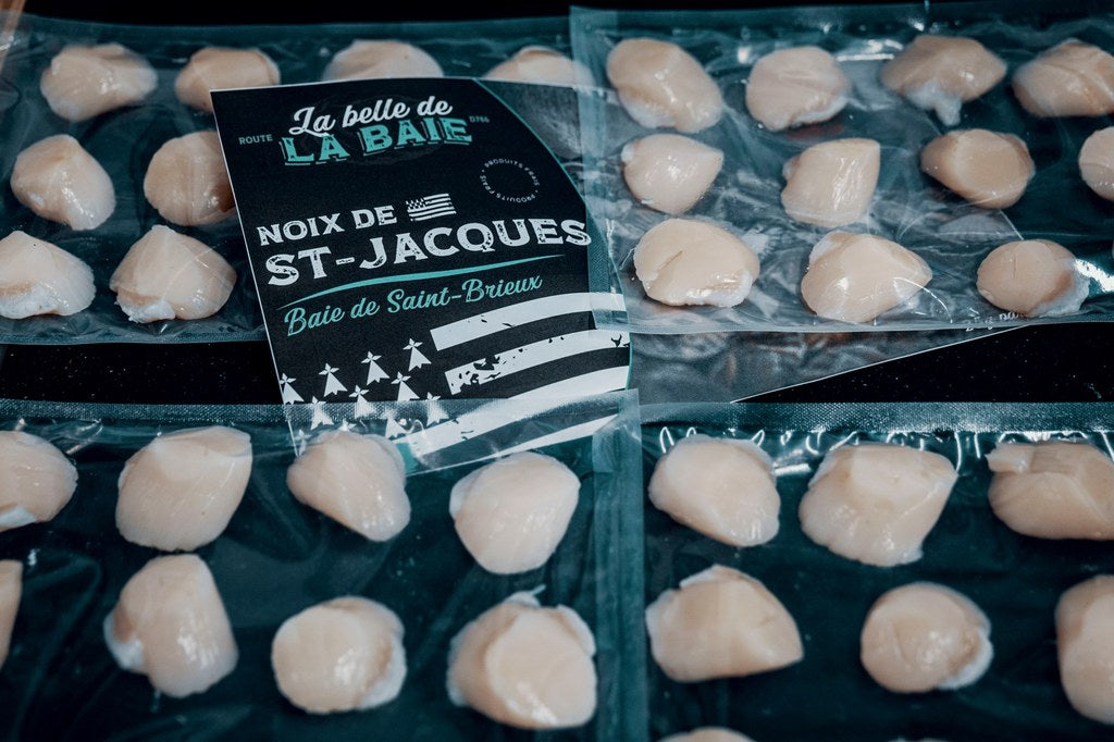 La Coquille Saint-Jacques : Un Trésor Nutritif Caché Dans Les Profondeurs de la Mer ?