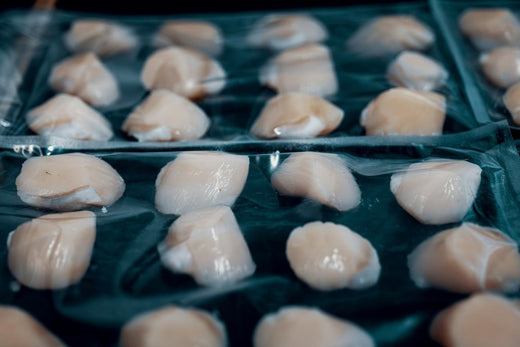 La conservation des coquilles Saint-Jacques au congélateur : durées et méthodes optimales