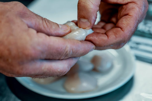 La saison idéale pour déguster les coquilles Saint-Jacques