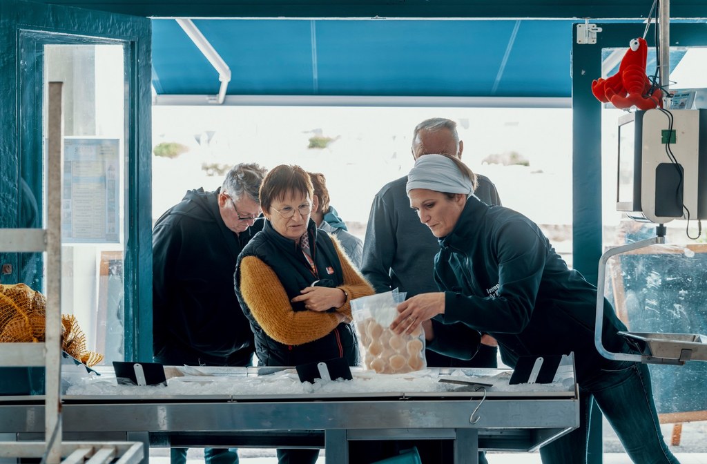 Qu'est-ce qui fait de la coquille Saint-Jacques d'Erquy une perle gastronomique ?