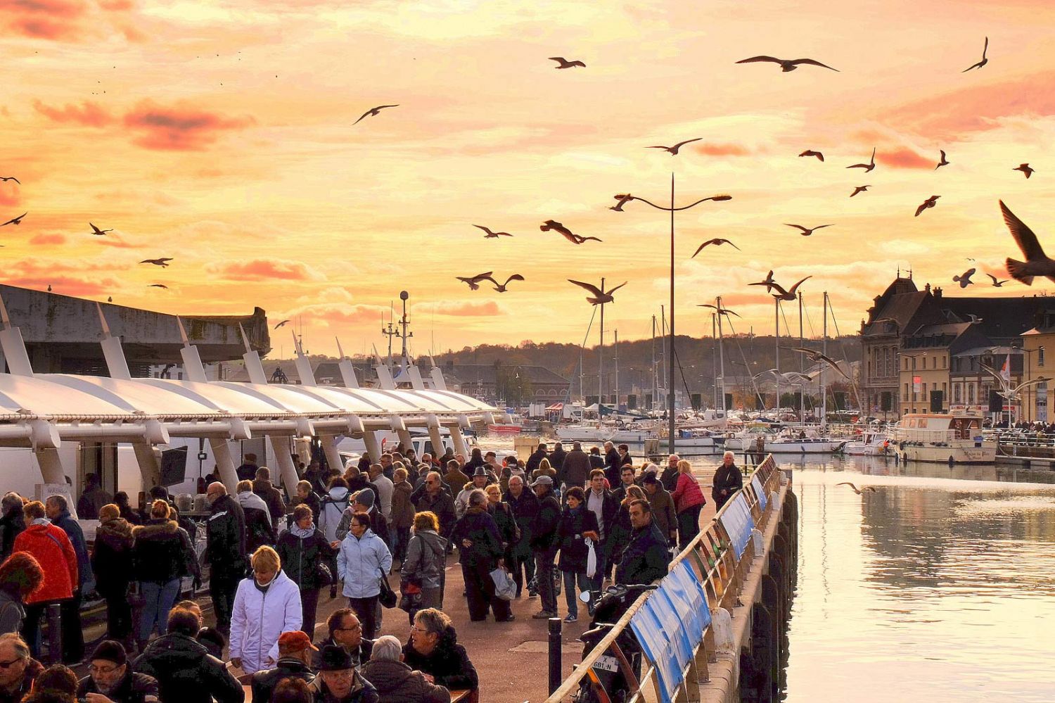 Qu'est-ce que la Fête de la Coquille Saint-Jacques à Dieppe ?