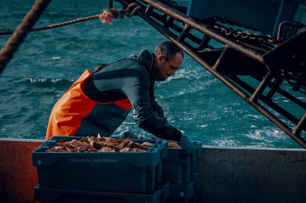 Quelles Réglementations Pour Protéger les Saint-Jacques en Côtes d'Armor