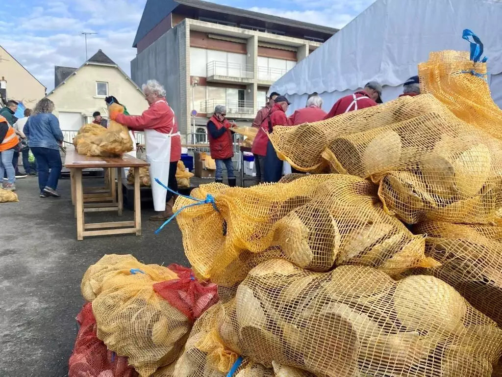 Fête de la Coquille Saint-Jacques à Paimpol ?