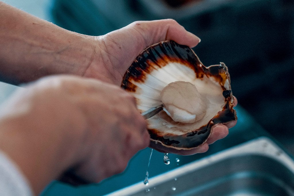 Combien pèse vraiment une noix de Saint-Jacques ?