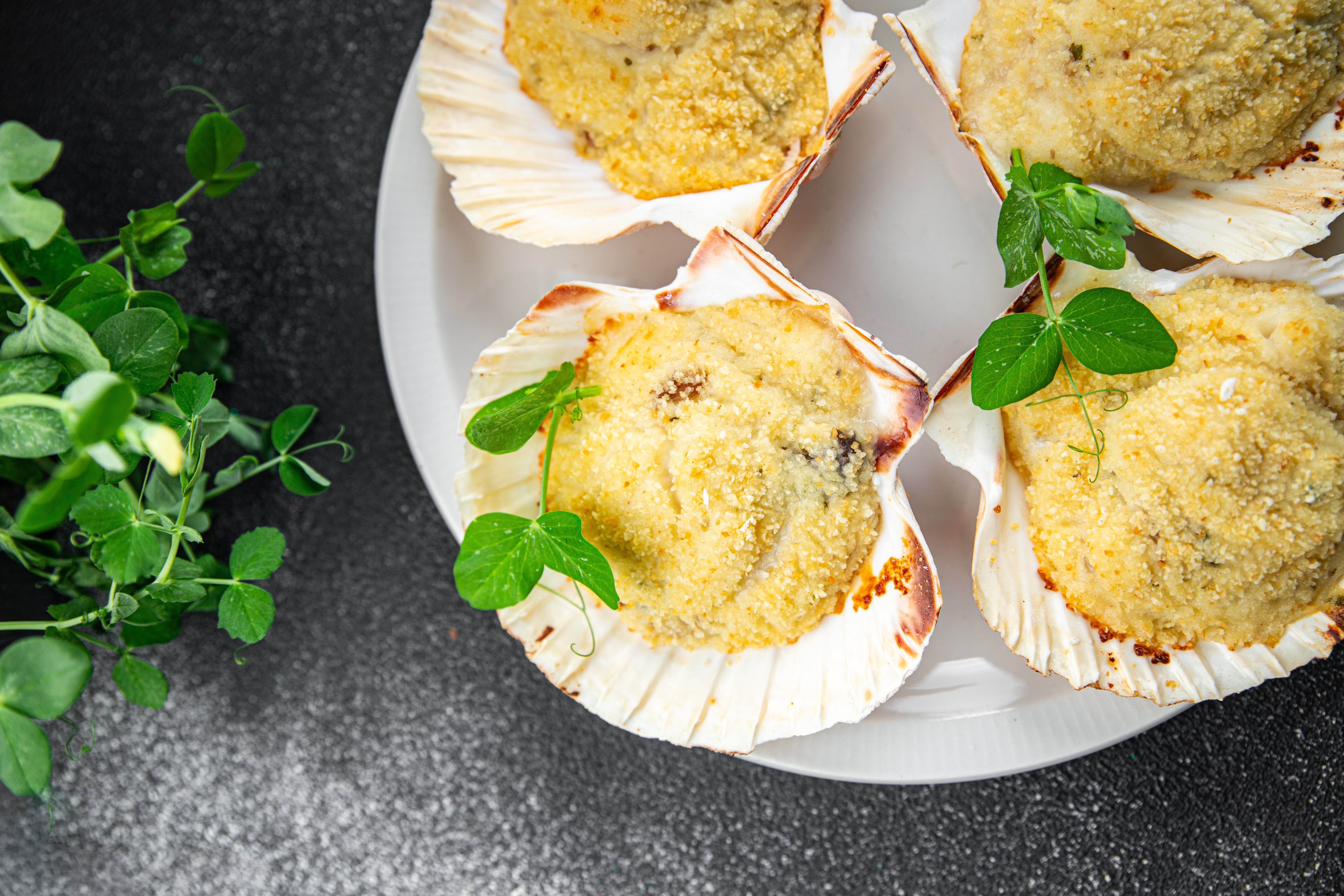 Comment Préparer des Coquilles Saint-Jacques à la Béchamel ?