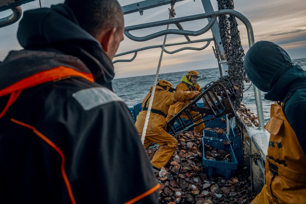 Quand et-ce que la saison de la pêche à la coquille Saint-Jacques ouvre?
