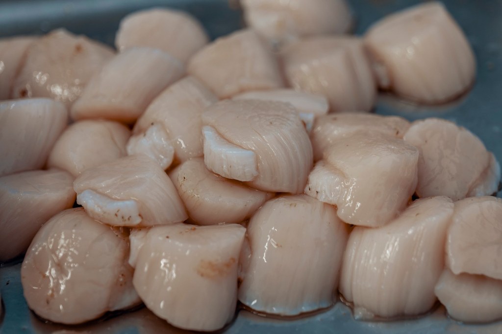 Comment congeler des coquilles Saint-Jacques sans les nettoyer?