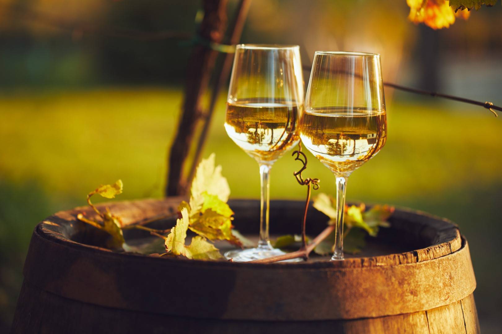 La Bretagne, une terre de vin : l'histoire du vin breton